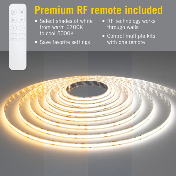 Armacost Lighting RibbonFlex Pro COB Outdoor LED Strip Lights 24V, 165 Lumens/Ft, 5M 171332